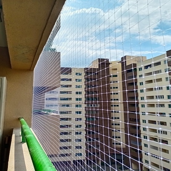Image 4 